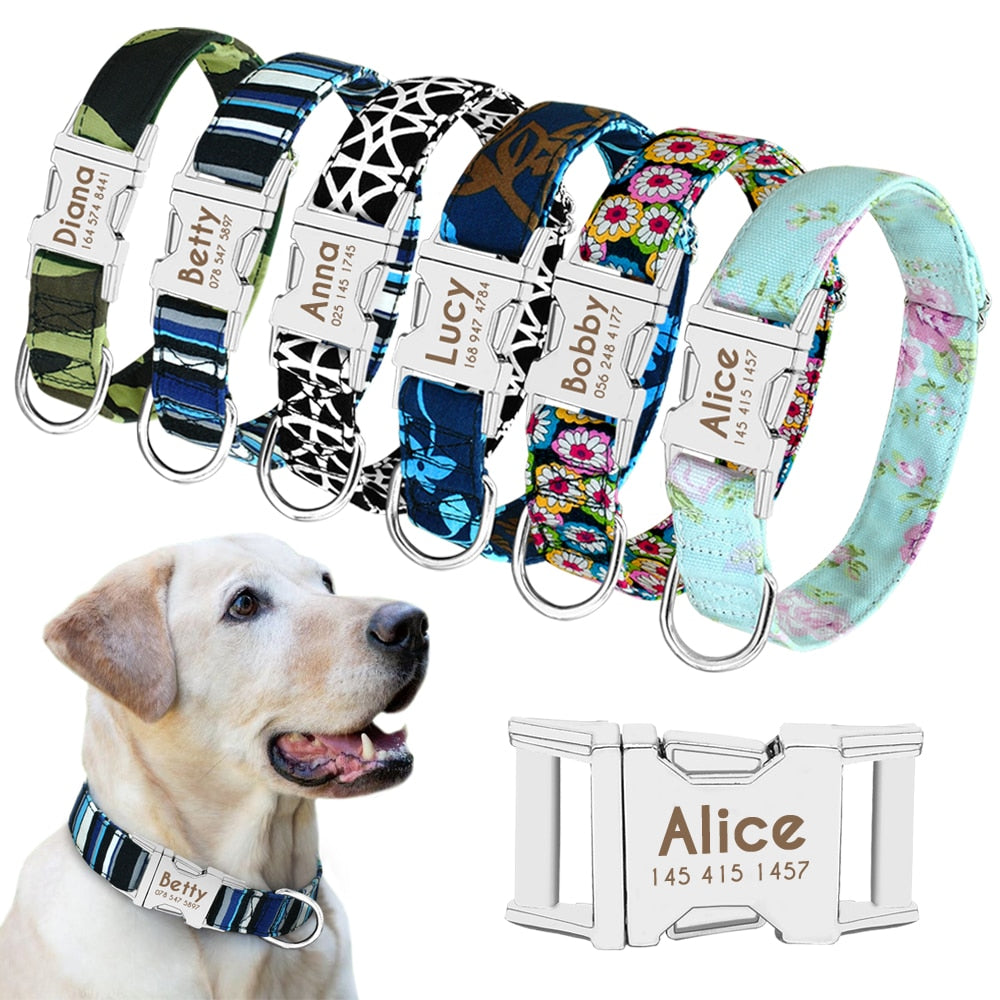 Personalized Dog Collar with Engraved ID Nameplate