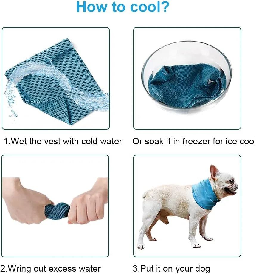 Dog Cooling Bandana for Instant Summer Walk Relief