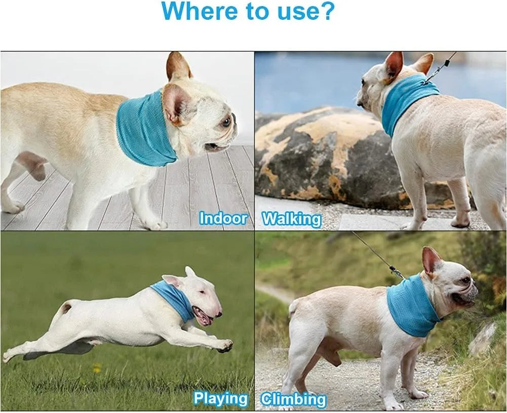 Dog Cooling Bandana for Instant Summer Walk Relief