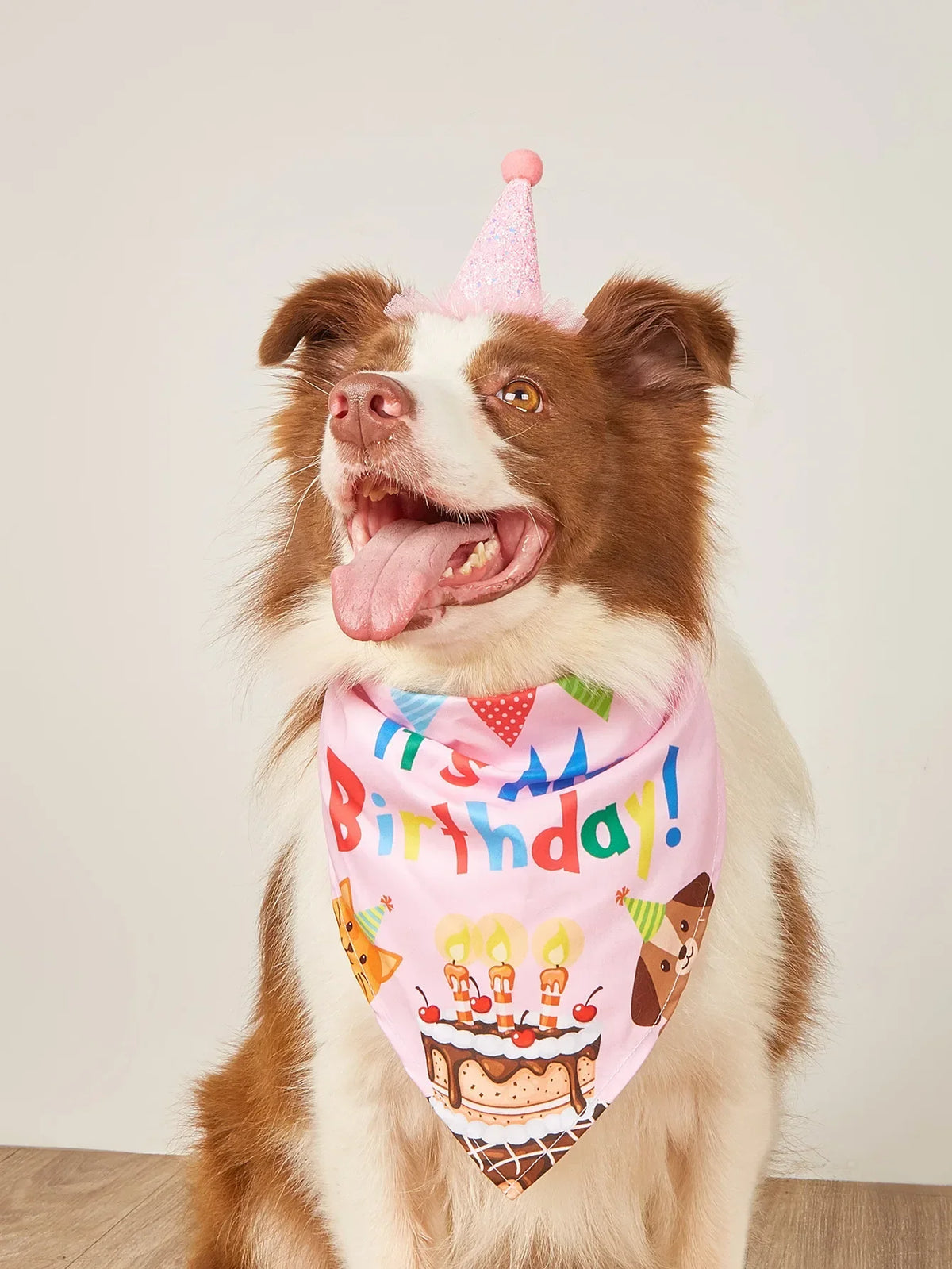 Dog Birthday Party Costume Set – 4-Piece Photo Props