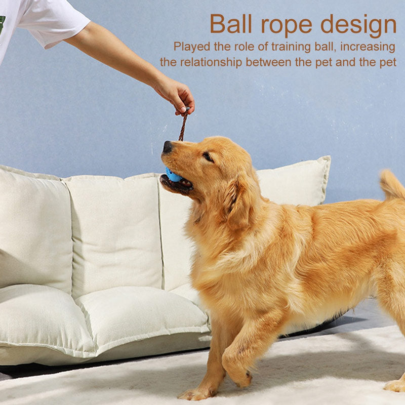 Interactive Dog Chew Ball for Cleaner Teeth & Play