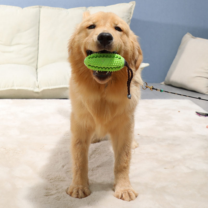 Interactive Dog Chew Ball for Cleaner Teeth & Play