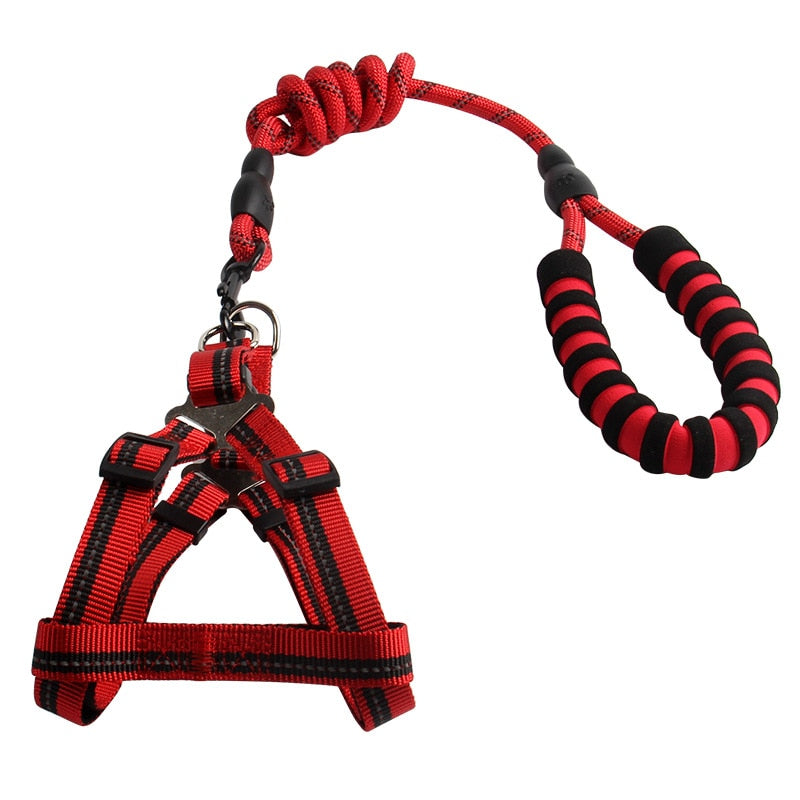 Large Dog Reflective Harness & Leash for Better Control