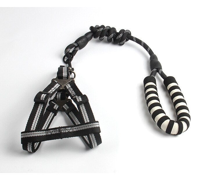 Large Dog Reflective Harness & Leash for Better Control