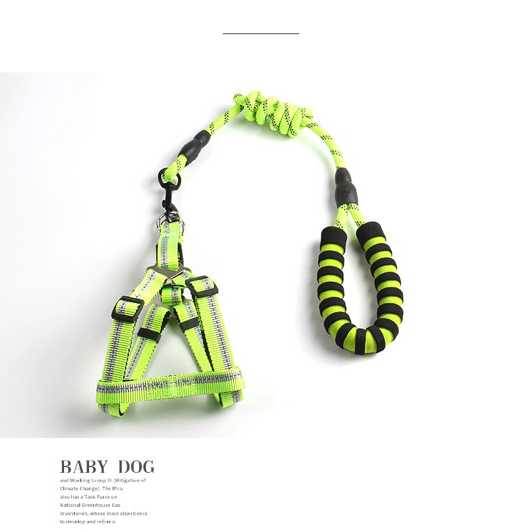 Large Dog Reflective Harness & Leash for Better Control
