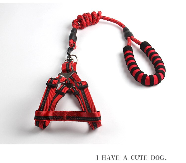 Large Dog Reflective Harness & Leash for Better Control