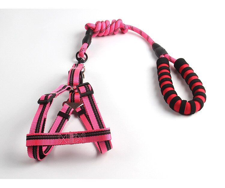 Large Dog Reflective Harness & Leash for Better Control