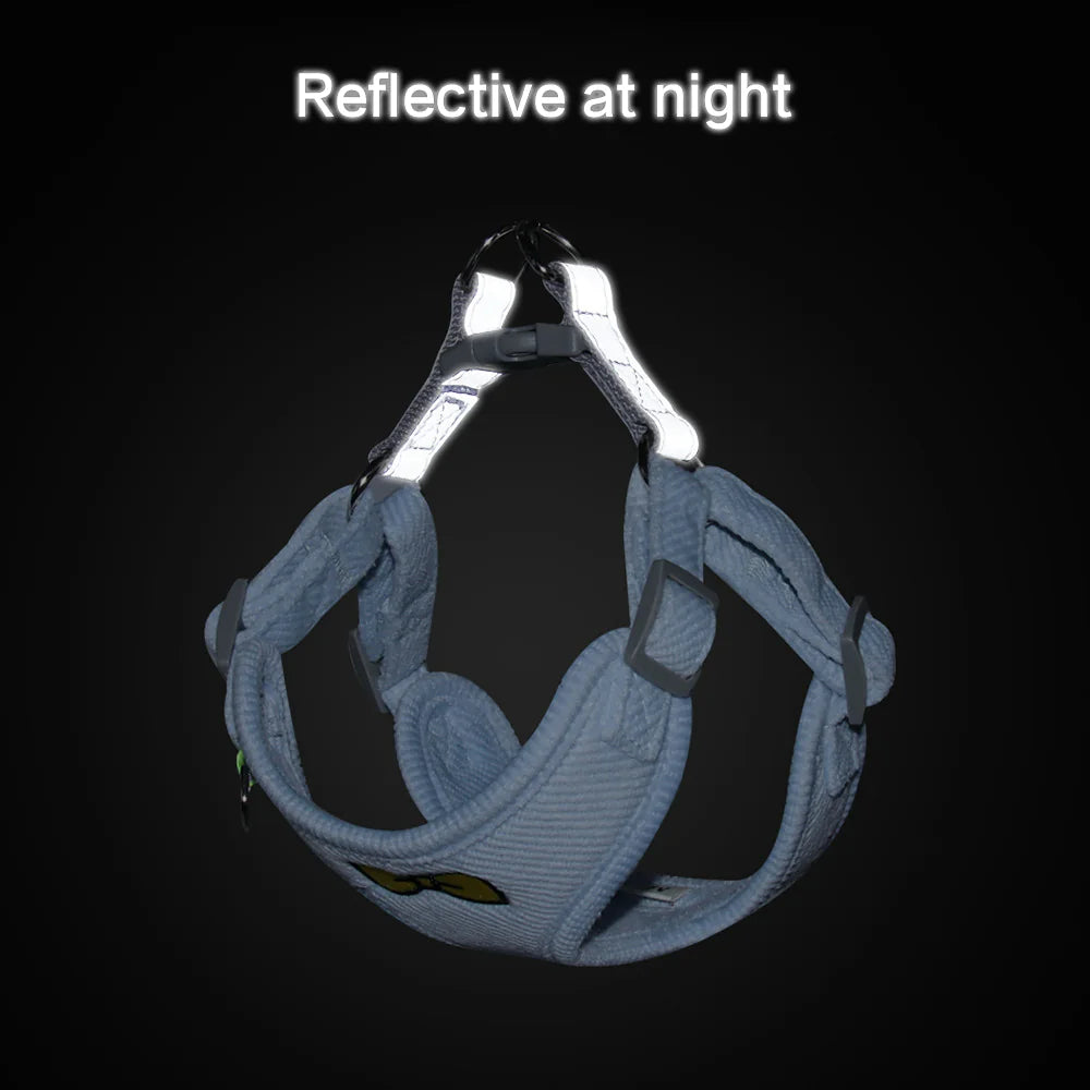 Small Dog Harness With Leash for Safer Night Walks