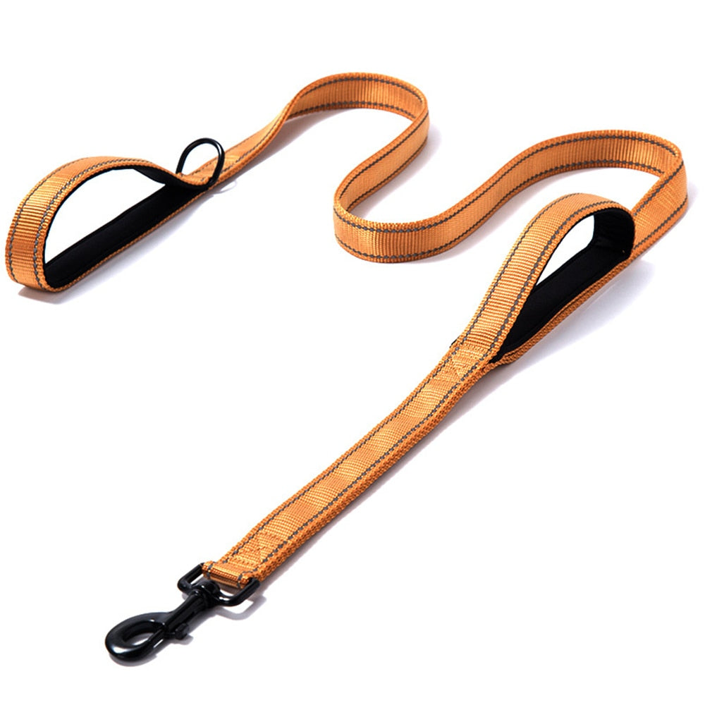 Reflective Dual-Handle Dog Leash for Safer Daily Walks