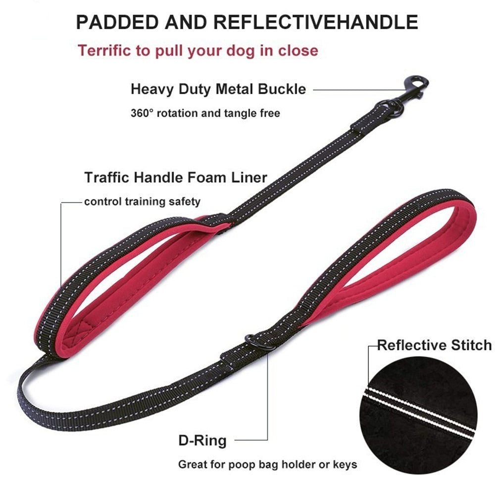 Reflective Dual-Handle Dog Leash for Safer Daily Walks