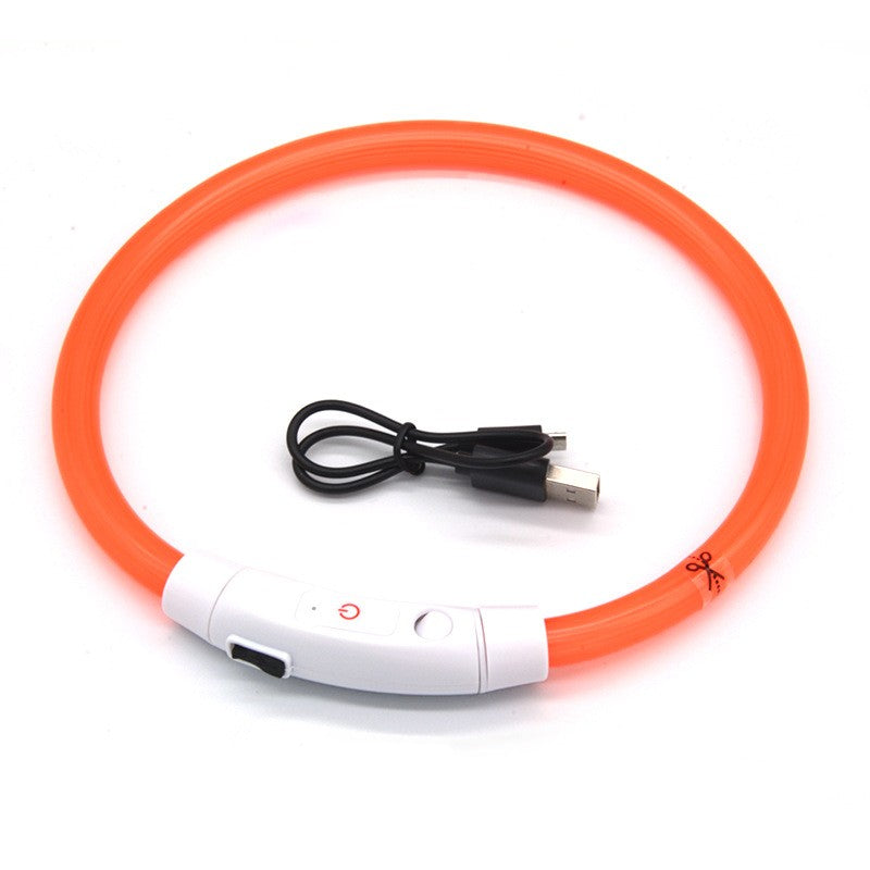 LED Dog Collar for Nighttime Visibility & Walking Safety
