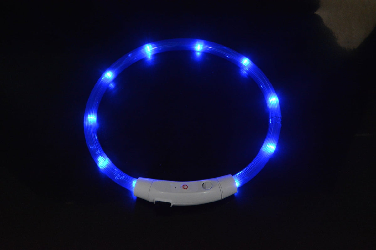 LED Dog Collar for Nighttime Visibility & Walking Safety
