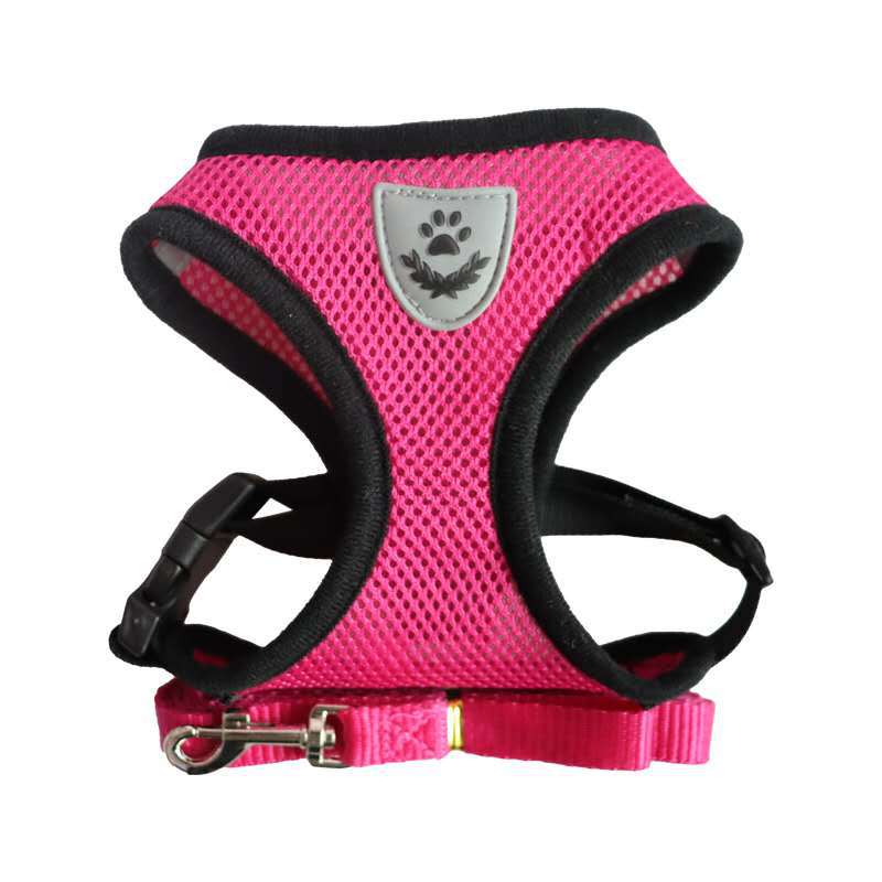 Dog Harness and Leash Set for Comfortable Daily Walks