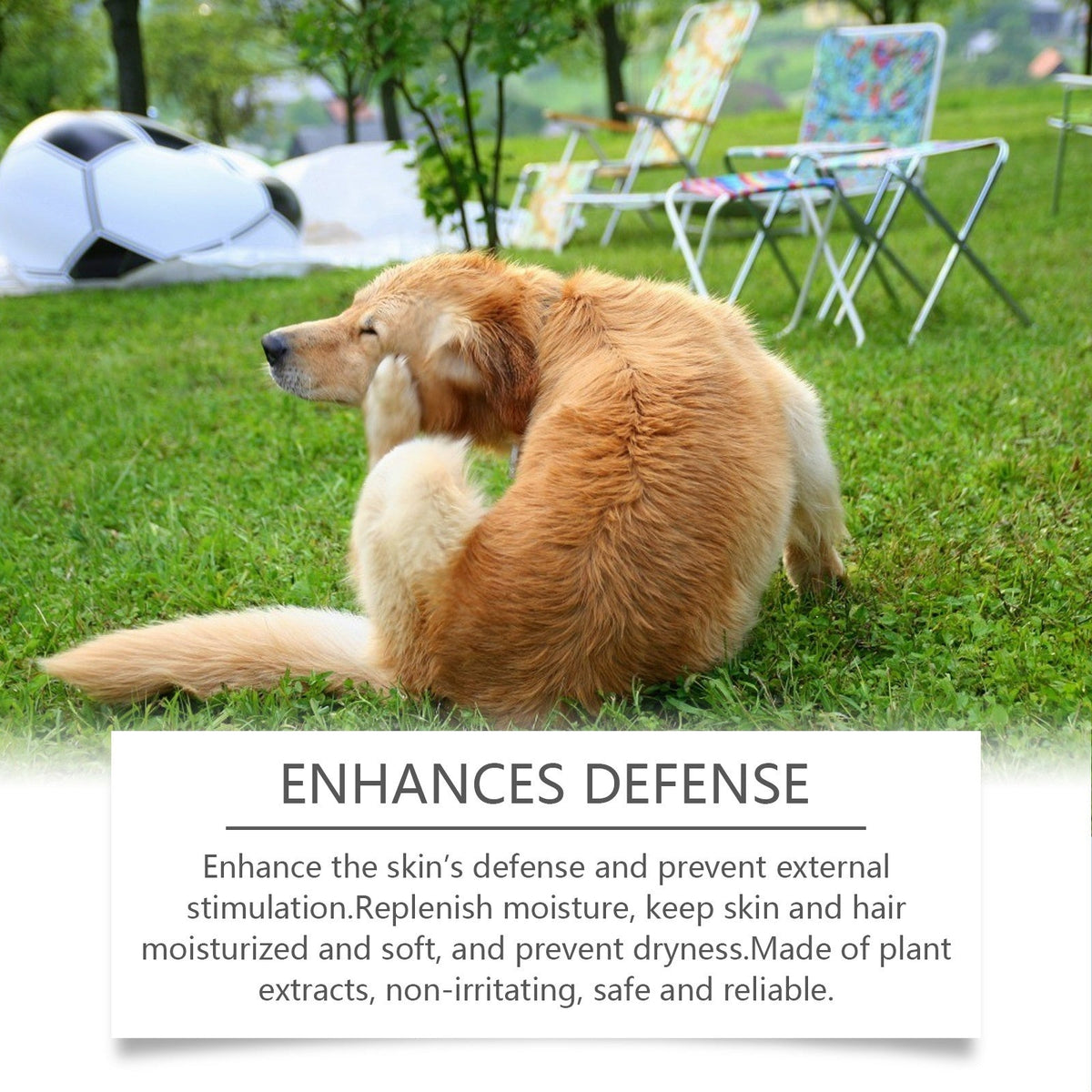 Gentle Dog Shampoo for Itchy Skin and Softer Fur Care