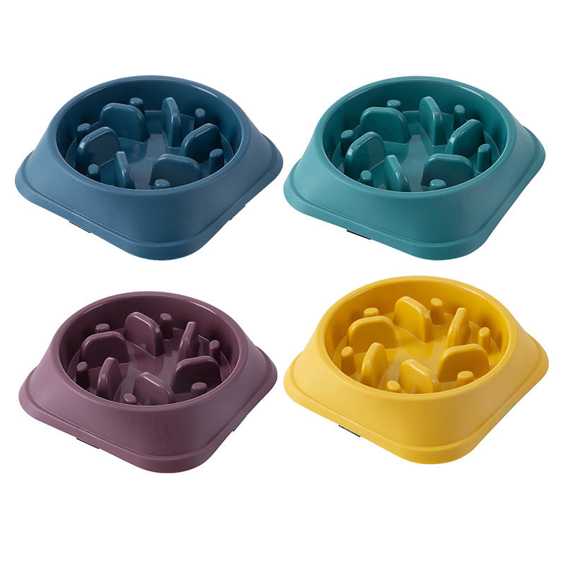 Slow Feeder Dog Bowl for Fast Eating & Messy Meals