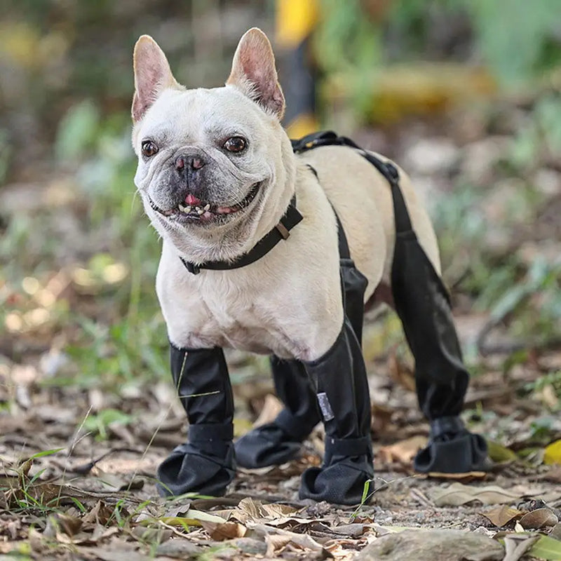 Dog Snow Booties: Waterproof Non-Slip Paw Protection