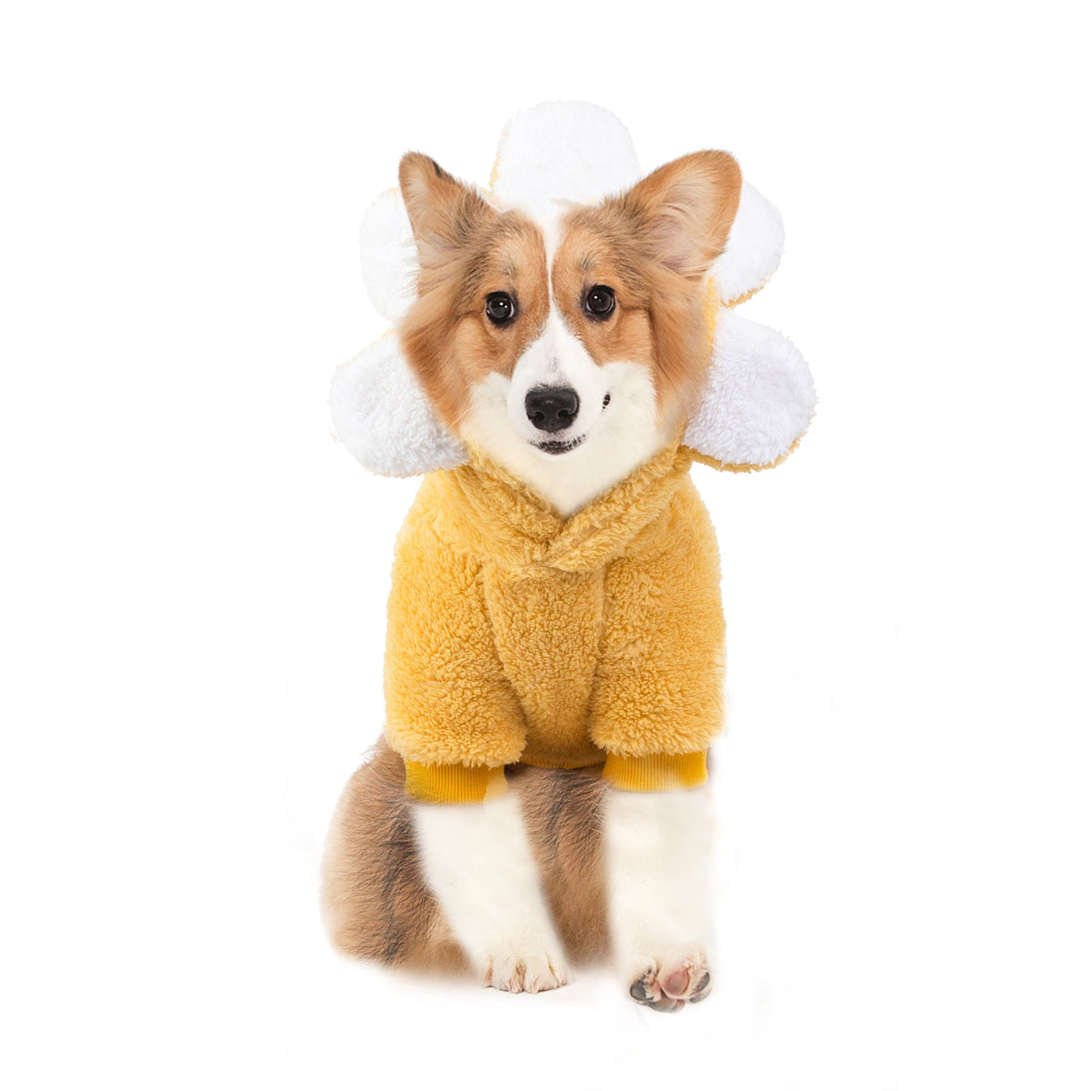Dog Fleece Sweater With Cute Sunflower Hood for Walks