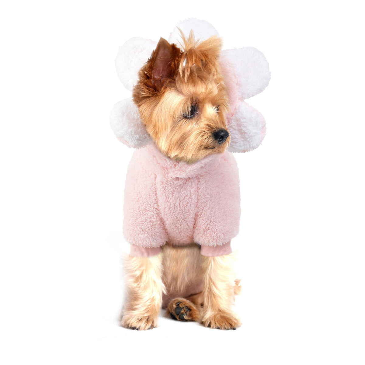 Dog Fleece Sweater With Cute Sunflower Hood for Walks