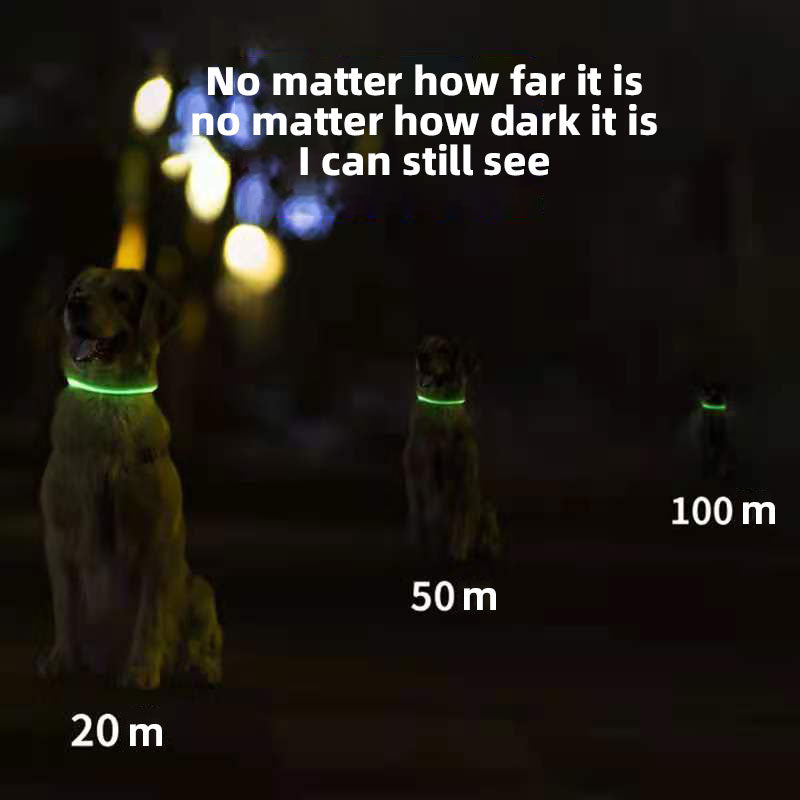 LED Dog Collar for Night Walks | USB Rechargeable