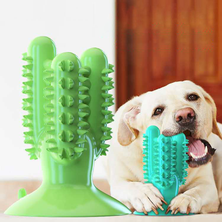 Dog Toothbrush for Easier Daily Dental Care Routine