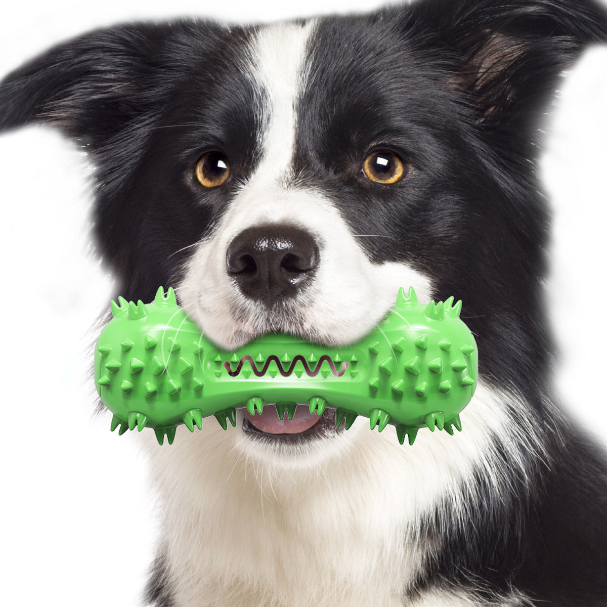 Dog Dental Chew Toy for Everyday Teeth Cleaning Support