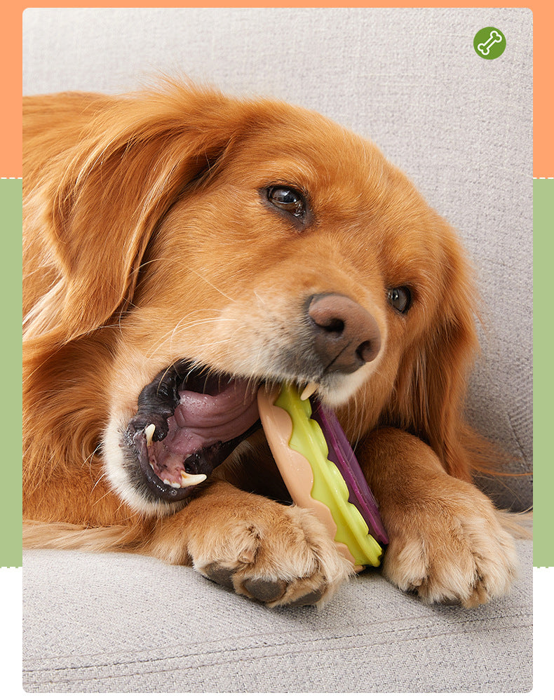 Molar Dog Chew Toy for Bite-Resistant Daily Playtime