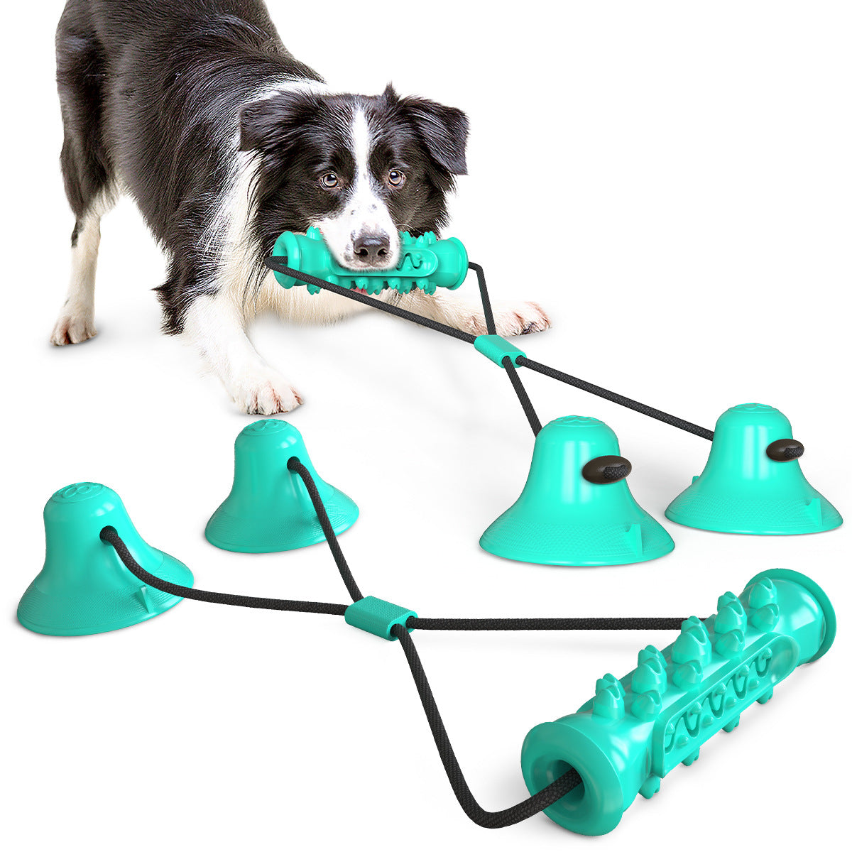 Dog Suction Cup Tug Toy for Indoor Dental Play