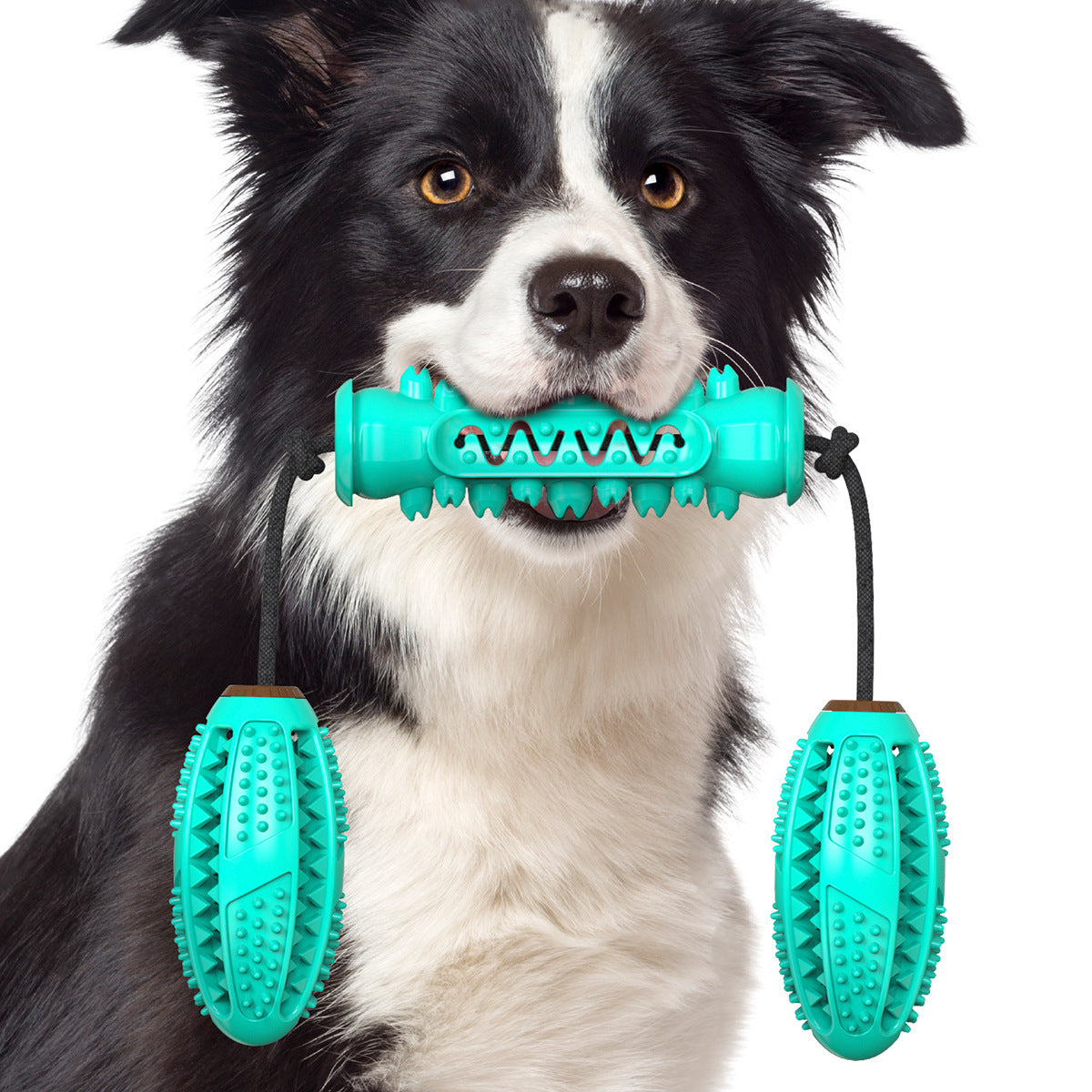 Dog Dental Chew Toy Set for Engaging Interactive Play