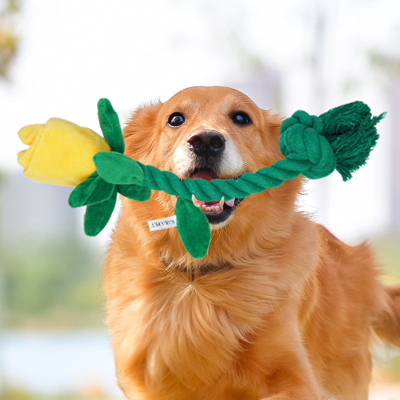 Plush Flower Rope Dog Toy for Tugging & Chew Play