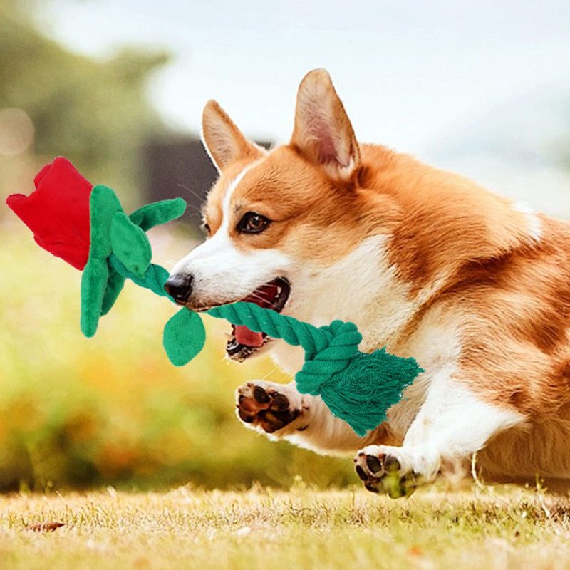 Plush Flower Rope Dog Toy for Tugging & Chew Play