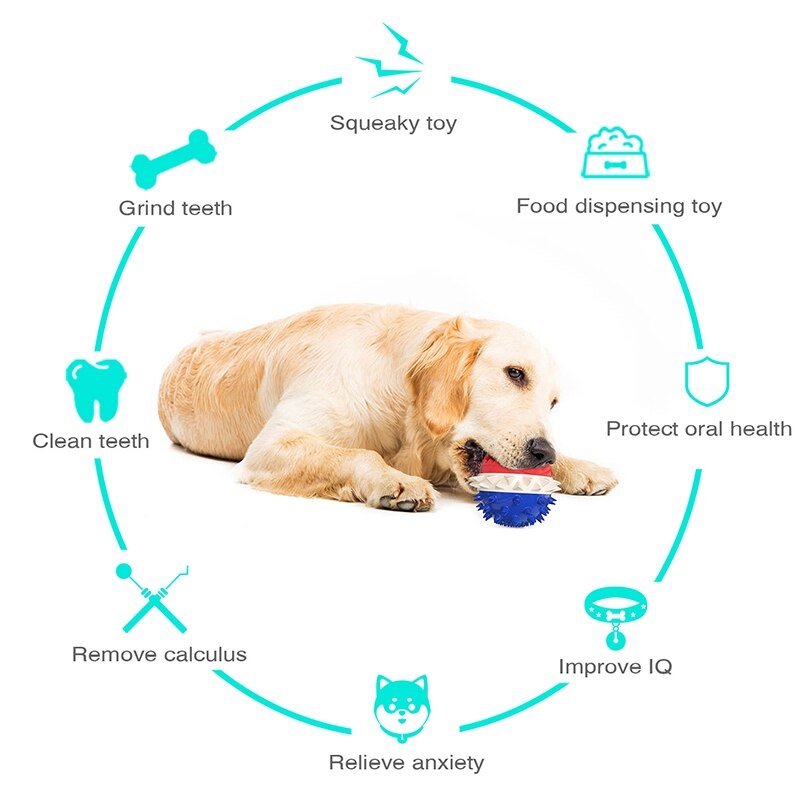 Interactive Dog Ball Toy for Treats and Water Play