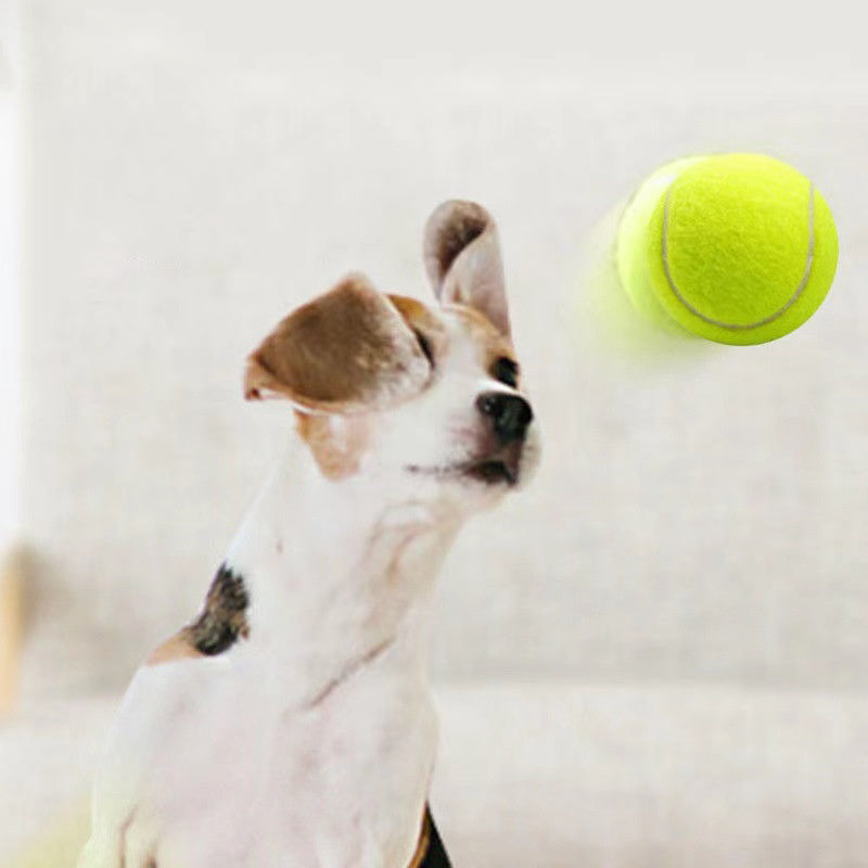 Rubber Dog Fetch Ball for Visible, Active Outdoor Play