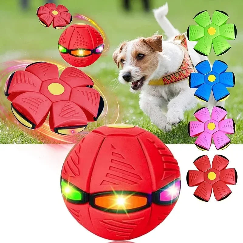 Light-Up Interactive Dog Toy: Ball & Flying Saucer