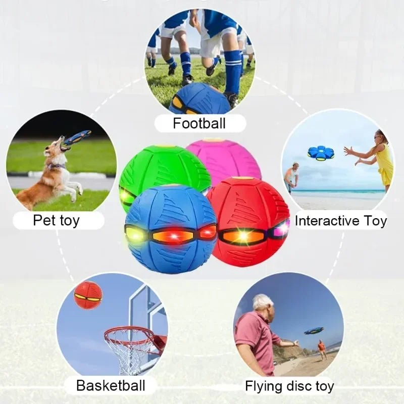 Light-Up Interactive Dog Toy: Ball & Flying Saucer