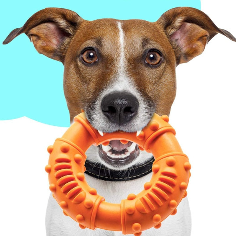 Dog Chew Ring for Dental Enrichment & Boredom Relief