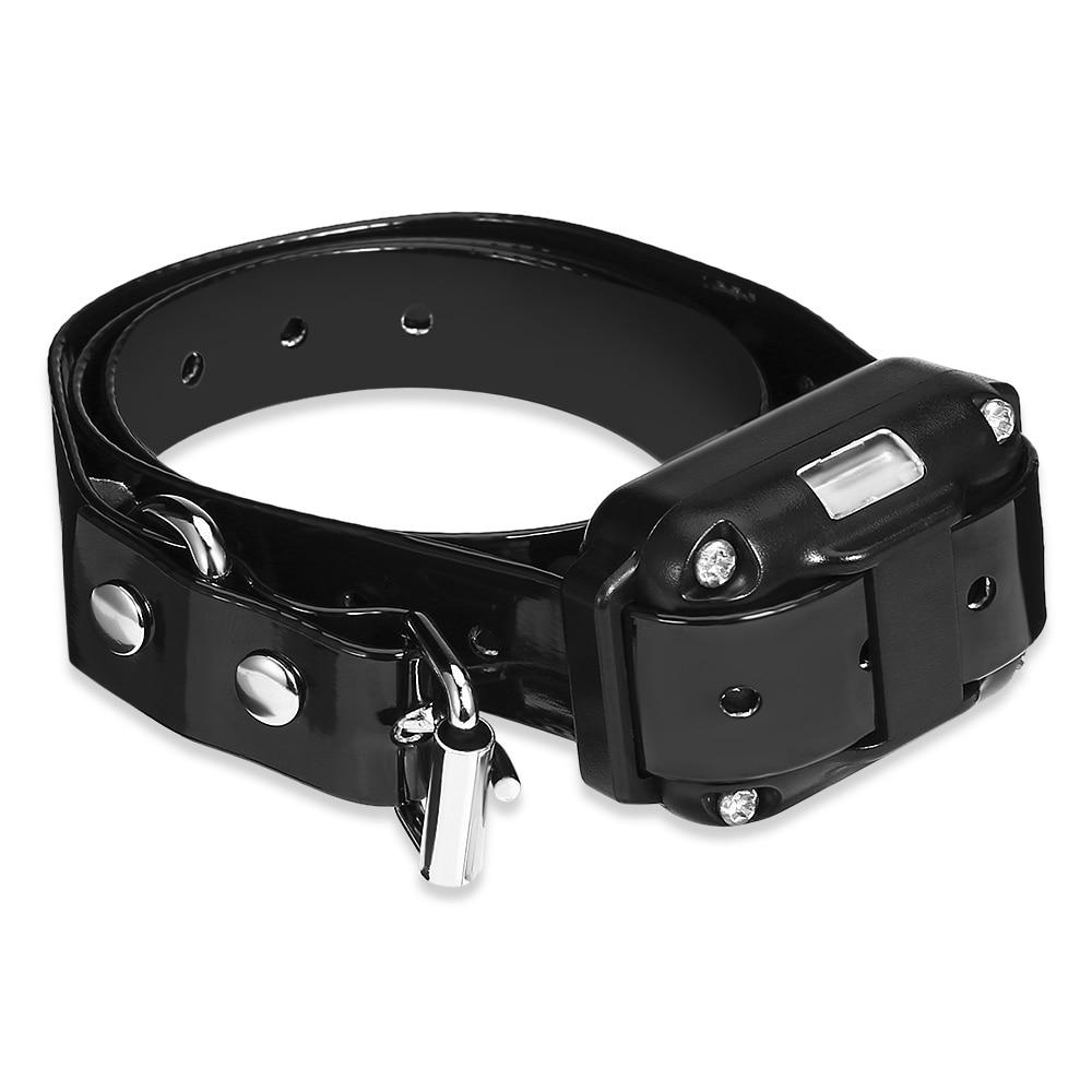 Remote Dog Training Collar with 99 Intensity Levels
