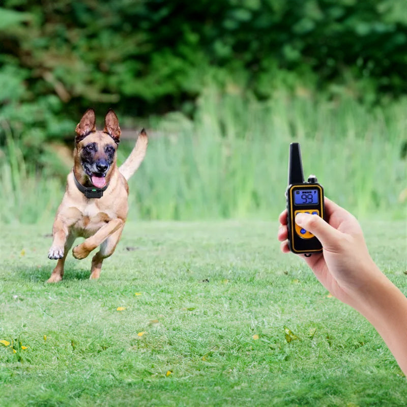 Dog Training Collar with 800m Remote for 3 Dogs