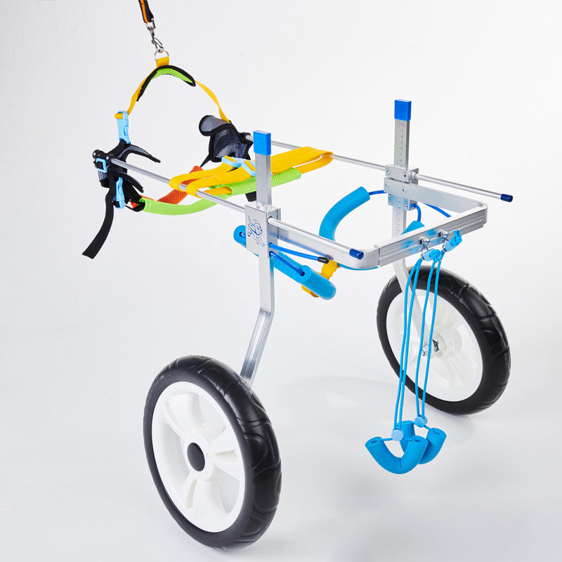 Dog Wheelchair for Disabled Dogs | Assisted Mobility