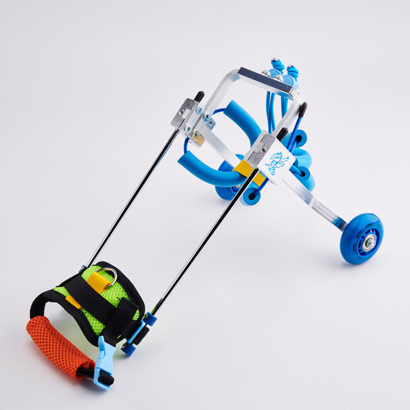 Dog Wheelchair for Disabled Dogs | Assisted Mobility