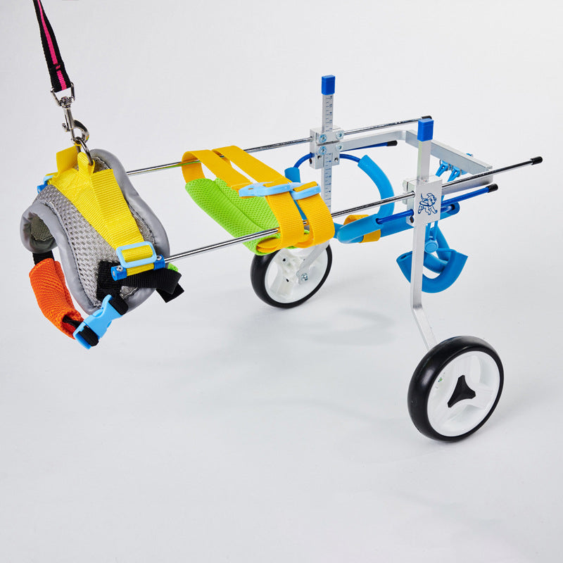 Dog Wheelchair for Disabled Dogs | Assisted Mobility