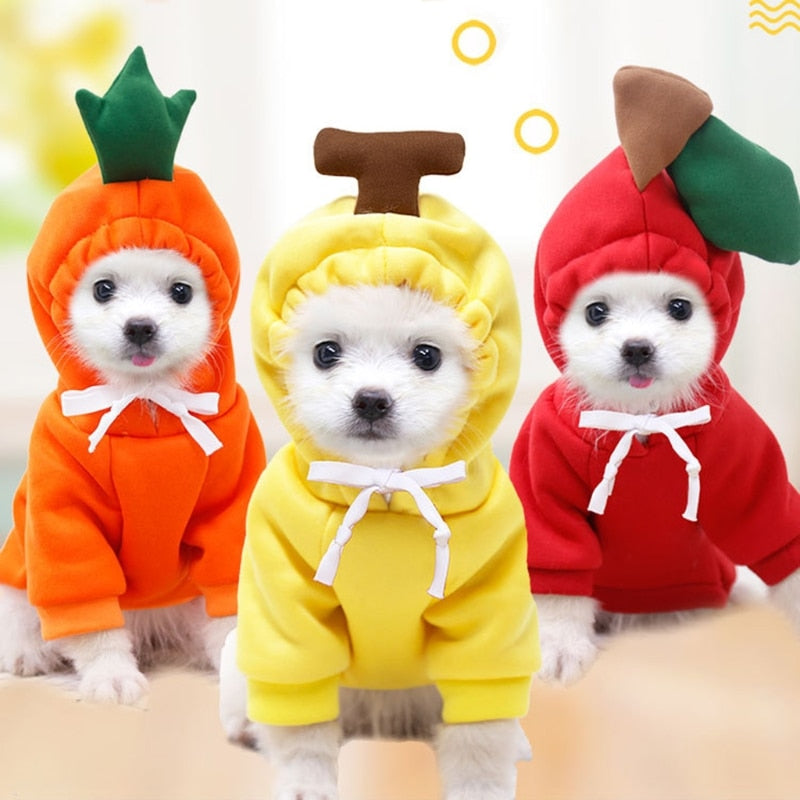 Dog Plush Winter Coat Hoodie for Warm, Cute Winter Walks