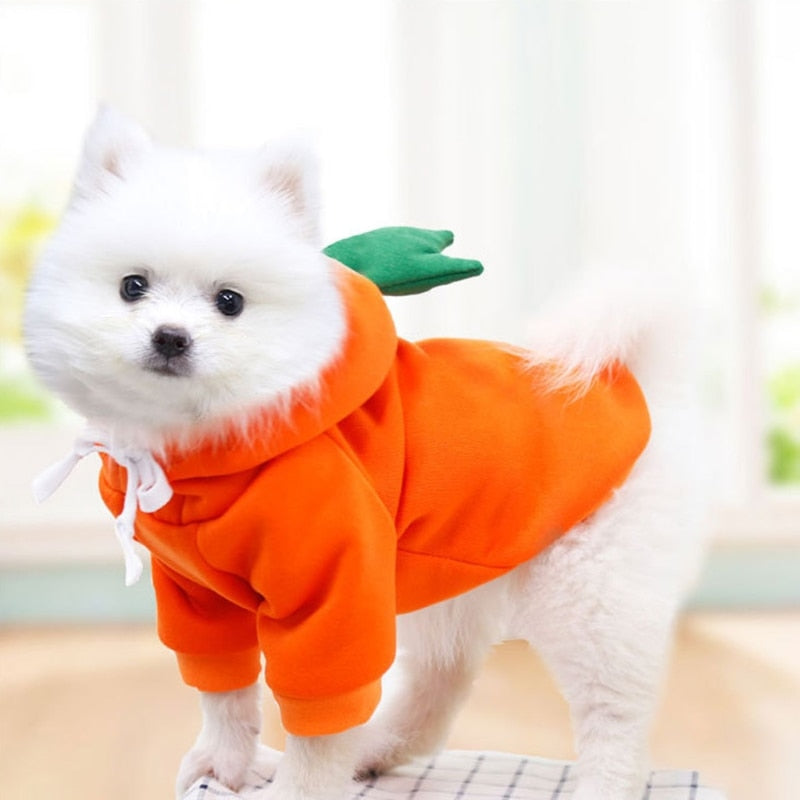 Dog Plush Winter Coat Hoodie for Warm, Cute Winter Walks