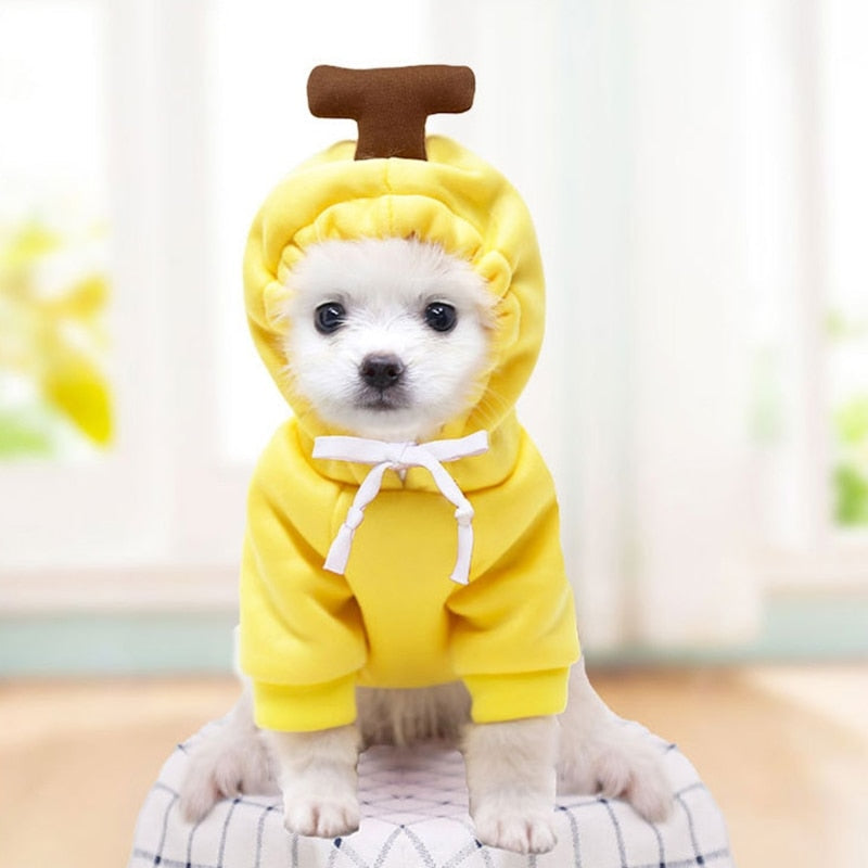 Dog Plush Winter Coat Hoodie for Warm, Cute Winter Walks