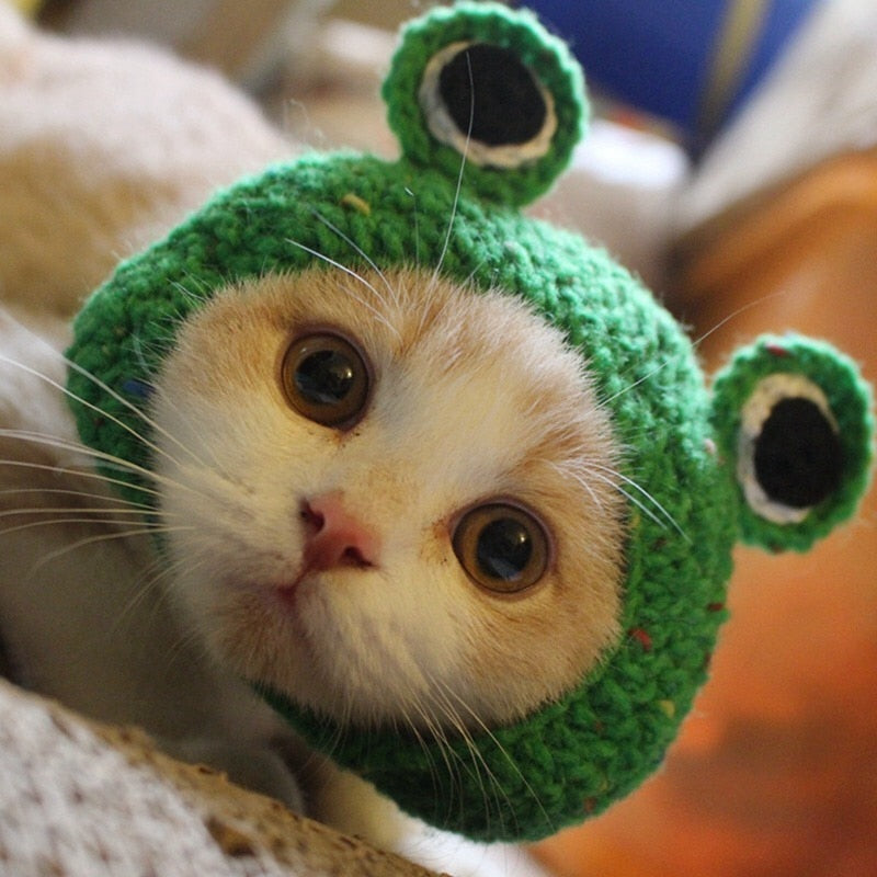 Frog Pet Costume Cap for Cute Photos and Party Fun