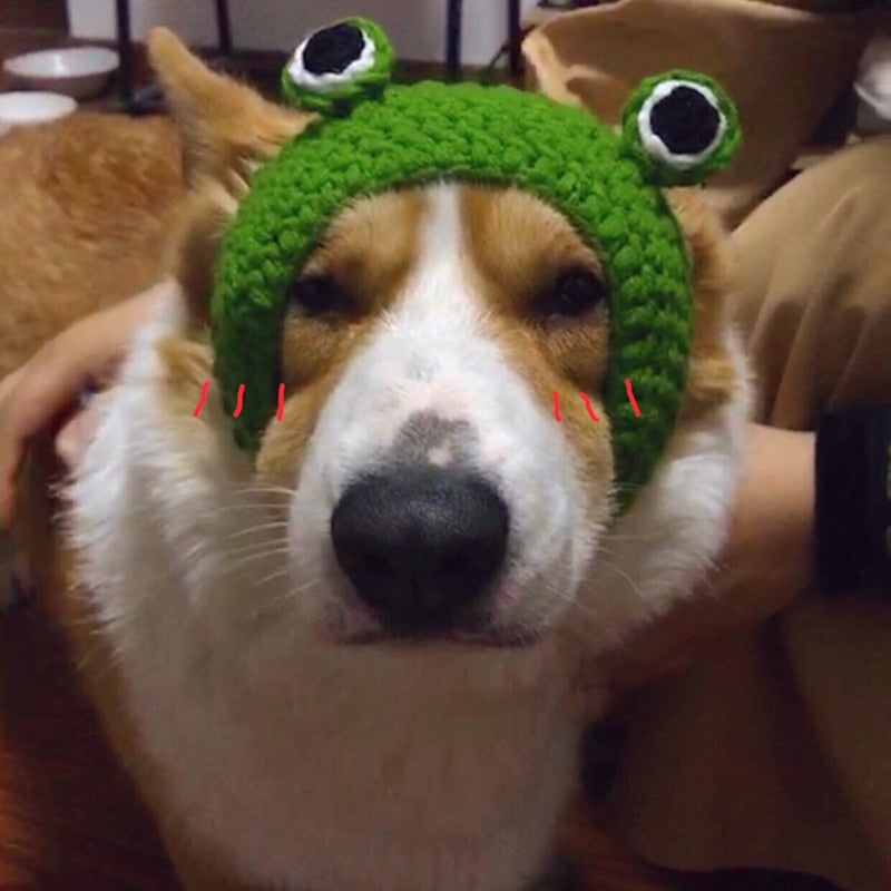 Frog Pet Costume Cap for Cute Photos and Party Fun