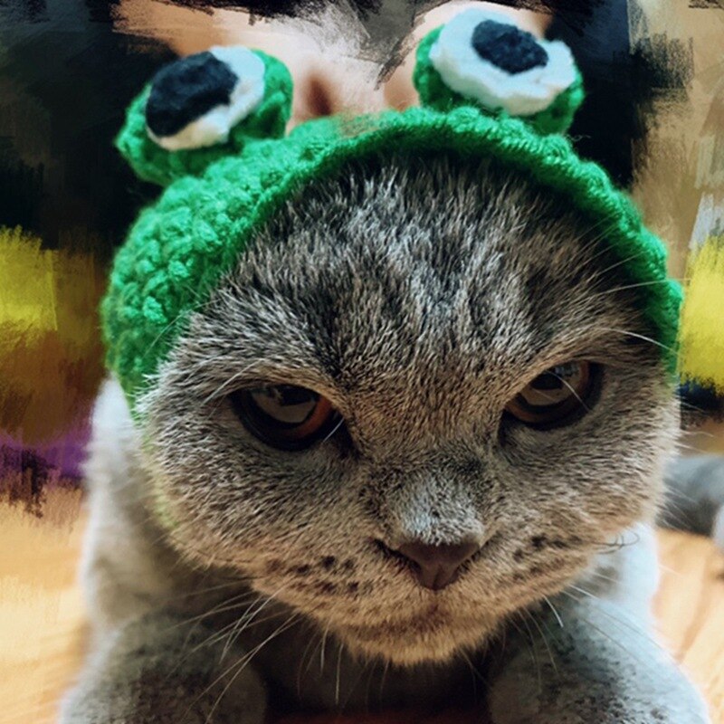 Frog Pet Costume Cap for Cute Photos and Party Fun