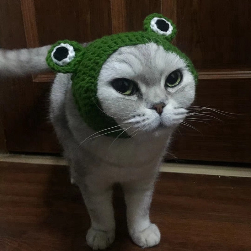 Frog Pet Costume Cap for Cute Photos and Party Fun