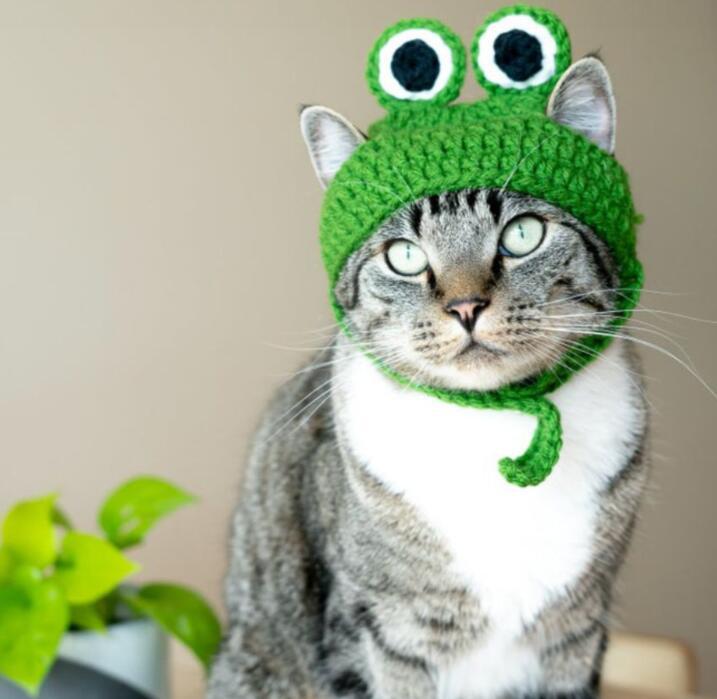 Frog Pet Costume Cap for Cute Photos and Party Fun