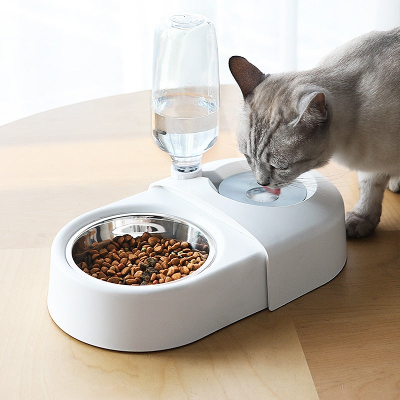 Pet Feeder Bowl & Stable Automatic Water Station