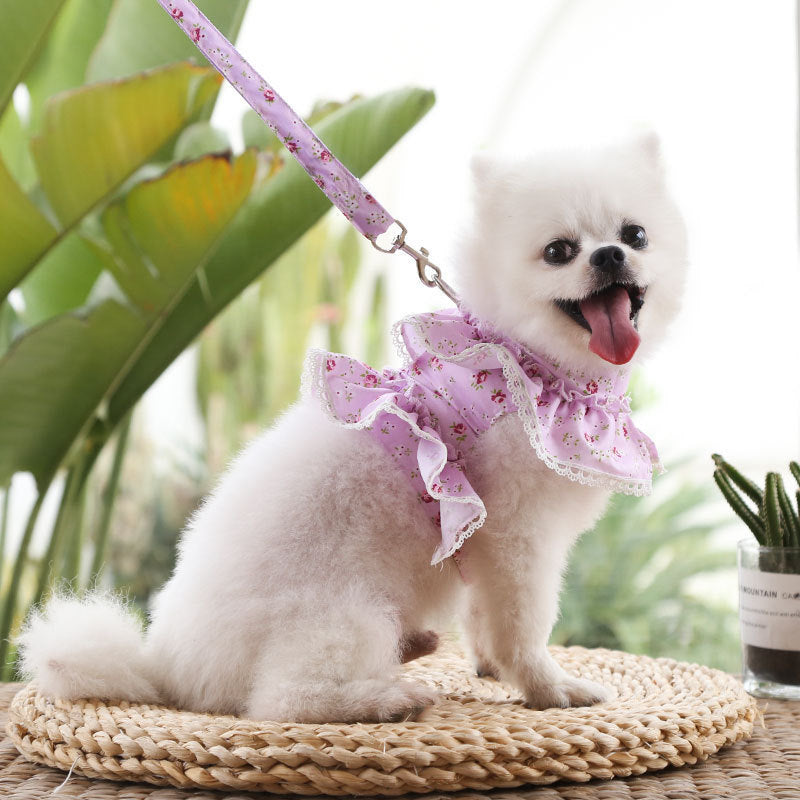 Floral Pet Harness Dress With Matching Leash Set for Walks